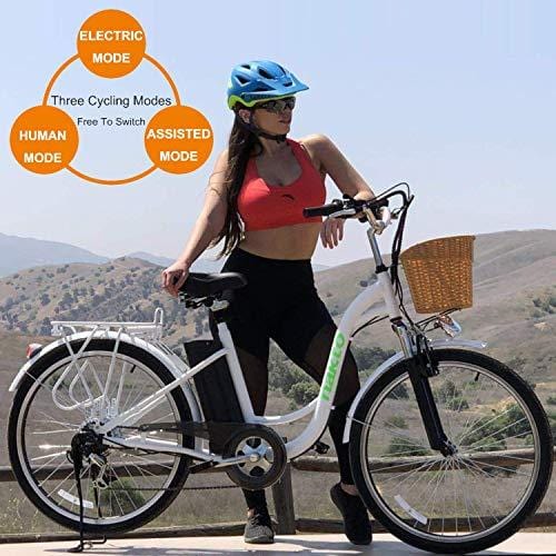 NAKTO 26" 250W Cargo Electric Bicycle Sporting Shimano 6 Speed Gear EBike Brushless Gear Motor with Removable Waterproof Large Capacity 36V10A Lithium Battery and Battery Charger