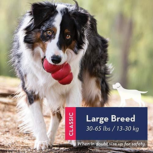 Kong Classic Dog Toy