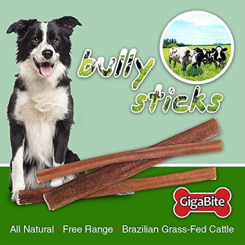 GigaBite 6 Inch Slim Odor-Free Bully Sticks (25 Pack) – USDA & FDA Certified All Natural, Free Range Beef Pizzle Dog Treat – By Best Pet Supplies