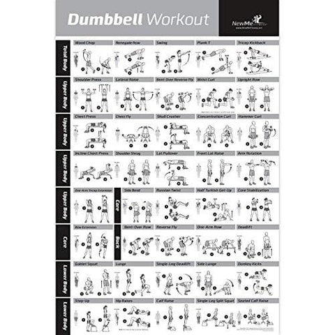 NewMe Fitness Dumbbell Workout Exercise Poster - Now Laminated - Strength Training Chart - Build Muscle, Tone & Tighten - Home Gym Weight Lifting Routine - Body Building Guide w/Free Weights