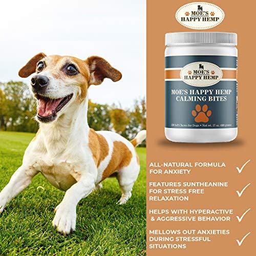 Organic Calm Hemp Treats for Dogs: Dog Anxiety Relief and Calming Aid for Hyperactive or Aggressive Pets - Daily Supplement to Support Joints and Healthy Skin and Coat - 120 Soft Chews, Chicken Flavor