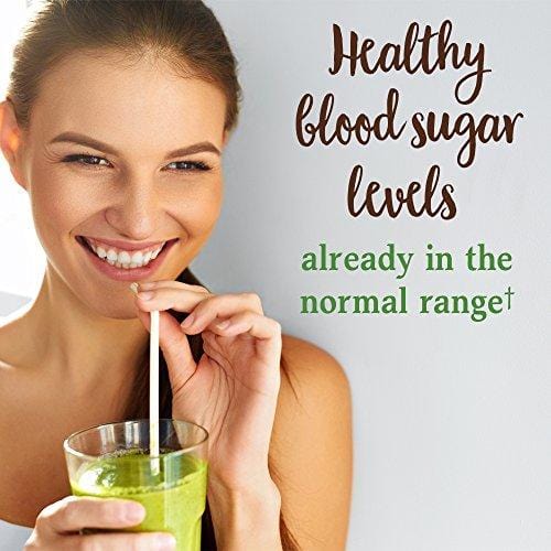 Garden of Life Raw Organic Perfect Food Green Superfood Juiced Greens Powder - Chocolate, 60 Servings - Non-GMO, Gluten Free, Vegan Whole Food Dietary Supplement, Plus Probiotics & Enzymes