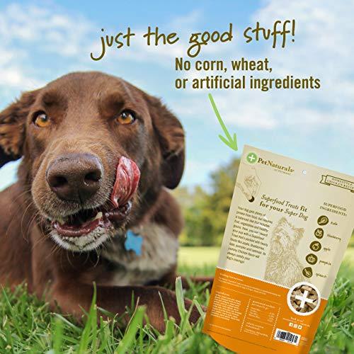 Pet Naturals Of Vermont - Superfood Treats For Dogs, Homestyle Chicken Flavor, 100+ Bite-Sized Chews, Organic Ingredients