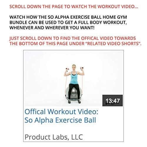 SoAlpha Premium Exercise Ball with 15LB Resistance Bands, Stability Base, Pump, 65 cm Fitness Ball, Supports up to 600LBS, Stability Ball with Gym Quality Resistance Bands, Complete Home Gym Bundle