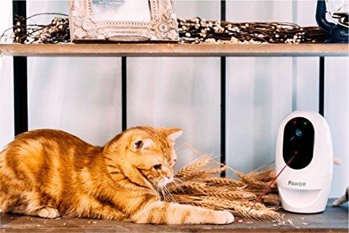 Pawbo Life Pet Camera: WiFi HD Video with 2-Way Audio, Treat Dispenser and Laser Game, Designed for Dogs and Cats