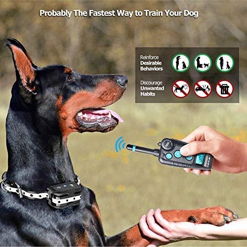 DB Degbit Shock Collar for Dogs with 3 Modes, Dog Training Collar [IP67 Waterproof][Fast Training Result] E-Collar, Dog Shock Collar with Remote, 1000ft Range, Bark Collar, for Small/Medium/Large dogs