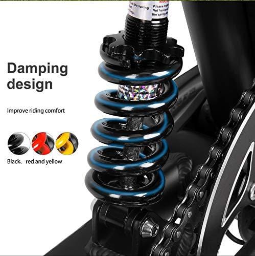 Vailsa 250W Portable Electric Bike/Bicycle with Foldable Pedal and Fat Tire Power Assist Aluminum Frame, Max Speed Up to 25km/h with 50 km Range