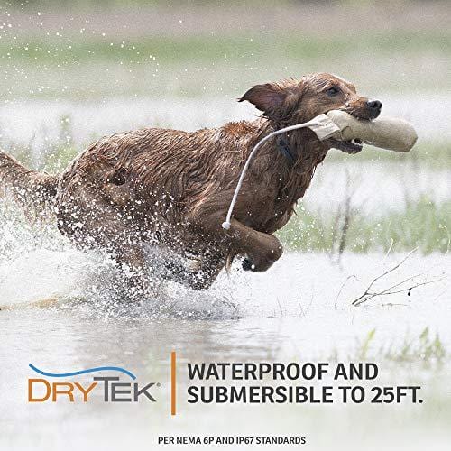 SportDOG Brand SD-825X SportHunter 825X Remote Trainer - Rechargeable Dog Training Collar with Shock, Vibrate, and Tone - 1/2 Mile Range, gray, Â½ Mile Range - 3 Dog Expandability
