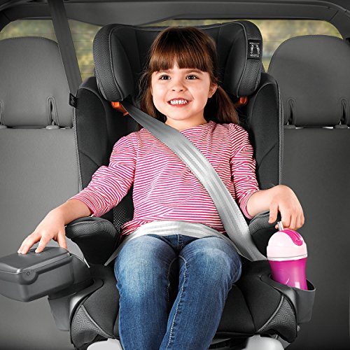 Chicco MyFit LE Harness + Booster Car Seat, Anthem