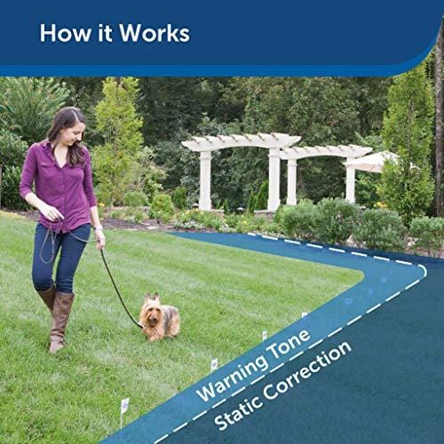 PetSafe Basic In-Ground Dog and Cat Fence - Underground Electric Pet Fence - from The Parent Company of Invisible Fence Brand