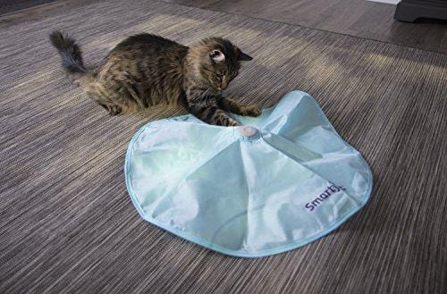 SmartyKat Hot Pursuit Cat Toy Concealed Motion Toy