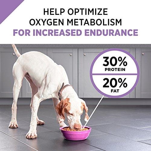 Purina Pro Plan High Protein Dry Dog Food; SPORT Performance 30/20 Formula - 37.5 lb. Bag