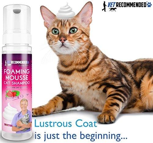Vet Recommended NEW Waterless Cat Shampoo - No Rinse Dry Foam Mousse - Luxurious Strawberry Patch Scent - 8oz/240ml, Made in USA.