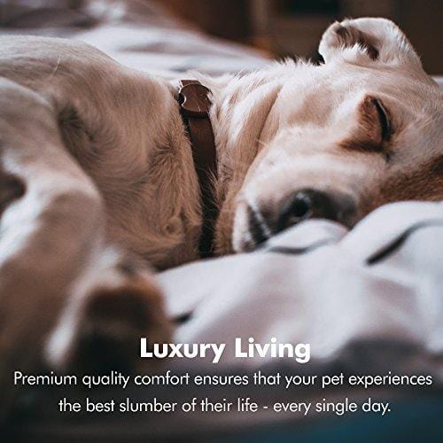 Orthopedic Dog Bed Lounge Sofa Removable Cover 100% Suede 4" Mattress Memory-Foam Premium Prestige Edition 36" x 28" x 9" Pewter Grey Large