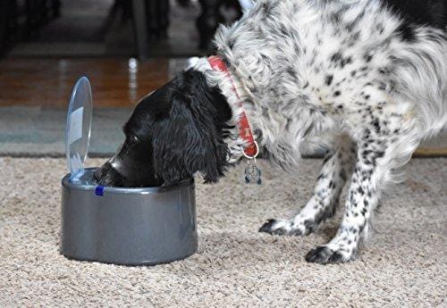 Our Pets Smart Link Intelligent Pet Care Selective Feeder Automatic Pet Bowl