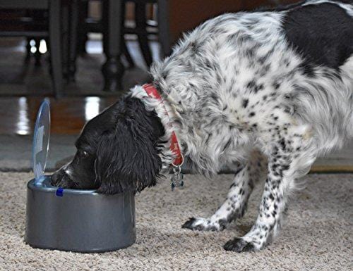 Our Pets Smart Link Intelligent Pet Care Selective Feeder Automatic Pet Bowl