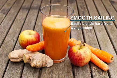 BlenderX CORDLESS HOME, PORTABLE & TRAVEL Blender | Xtra Power, Xtra Blends, Xtra Convenience | Xperience the Difference | Cocktails, Smoothies, Shakes & More | By ModernComfort