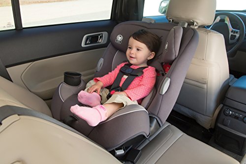 Safety 1st Continuum 3-in-1 Convertible Car Seat (Hollyhock)