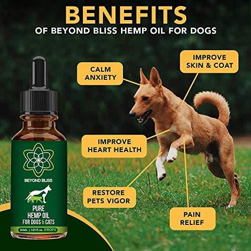 Beyond Bliss Hemp Oil for Dogs & Cats - 550 milligrams daily- Joint Pain - Separation Anxiety - Chronic Pain Relief - Organic & Natural - Anti-Inflammatory - Grown & Made in USA - Omega 3, 6, 9