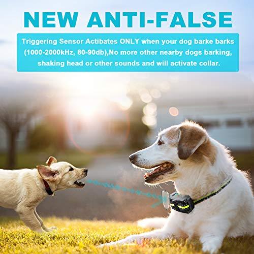 Bark Collar [2019 Upgrade Version] No Bark Collar Rechargeable Anti bark Collar with Beep Vibration and No Harm Shock Smart Detection Module Bark collar for Small Medium Large Dog