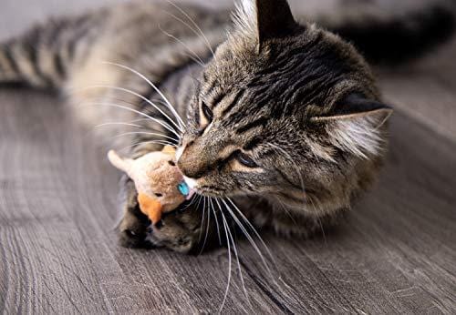SmartyKat Chickadee Chirp Cat Toy with Bird Sounds(shapes/colors may vary)