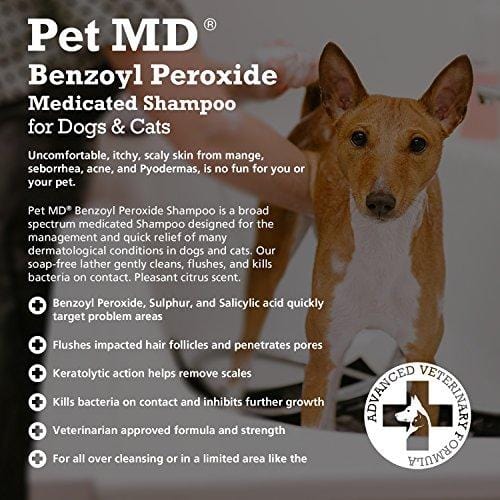Pet MD Benzoyl Peroxide Medicated Shampoo for Dogs and Cats, Effective for Seborhhea, Dandruff, Mange, Itch Relief, Acne and Folliculitis, Citrus Scent, 12 oz.