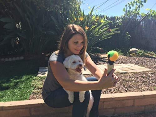 Pooch Selfie: The Original Dog Selfie Stick (AS SEEN ON Shark Tank)