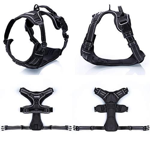 Rabbitgoo  Dog Harness No-Pull Pet Harness Adjustable Outdoor Pet Vest 3M Reflective Oxford Material Vest for Dogs Easy Control for Small Medium Large Dogs (Black, L)