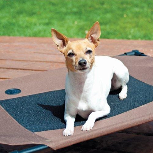K&H Pet Products Original Pet Cot Elevated Pet Bed, Medium
