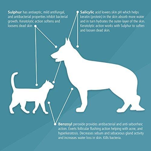 Pet MD Benzoyl Peroxide Medicated Shampoo for Dogs and Cats, Effective for Seborhhea, Dandruff, Mange, Itch Relief, Acne and Folliculitis, Citrus Scent, 12 oz.