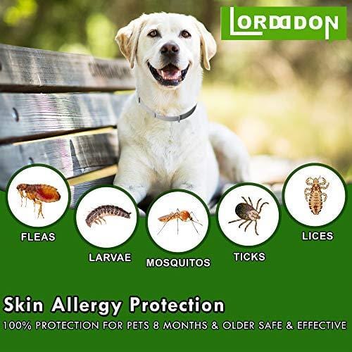 Flea and Tick Prevention Collar One Size Fits All Dogs and Cats Flea and Tick Control with Adjustable Design