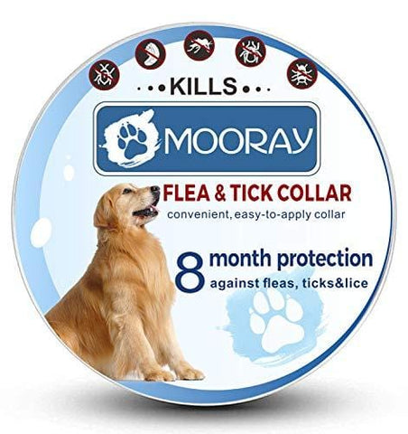 Flea and Tick Collar Prevention for Dogs & Cats Control for 8 Months with Natural Ingredients-Adjustable Waterproof Design