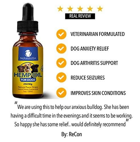 NatulabUSA - Hemp Oil For Dogs & Pets - Fast Results - Dog Anxiety & Stress Relief - Dog Arthritis & Joint Health - APPLY TO TREATS - Separation Anxiety Relief - Organic Hemp Seed Oil - 250mg - 1oz