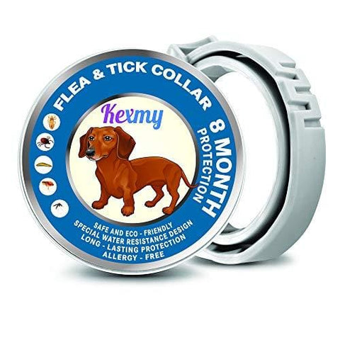 KEXMY Flea and Tick Collar for Dogs-Flea and Tick Prevention for Small, Medium or Large Dog - Waterproof Collar Flea Tick 2019