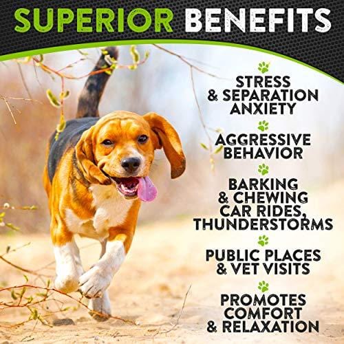 Organic Hemp Treats - Calming Treats for Dogs - 170 Soft Chews - Made in USA - Hemp Oil for Dogs - Dog Anxiety Relief - Natural Calming Aid - Stress - Fireworks - Storms - Aggressive Behavior