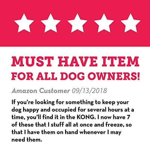Kong Classic Dog Toy