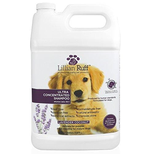 Lillian Ruff Professional Dog Shampoo - Concentrated Dog Shampoo with Aloe - Safe for Cats - Tear Free Lavender Coconut Scent - Soothe & Cleanse Normal to Dry Itchy Sensitive Skin - Made in USA