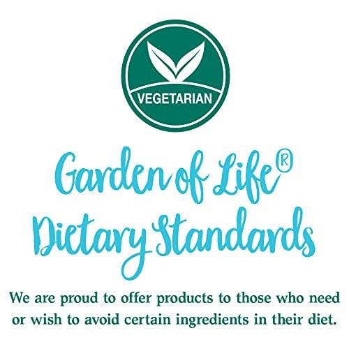 Garden of Life Whole Food Vegetable Supplement - Perfect Food Green Superfood Dietary Powder, 140g