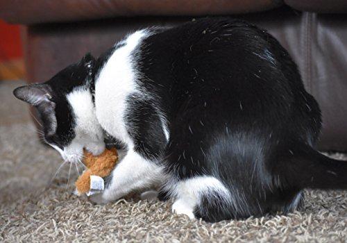 OurPets Play-N-Squeak Backyard Collection Squeaking Interactive Catnip Cat Toy
