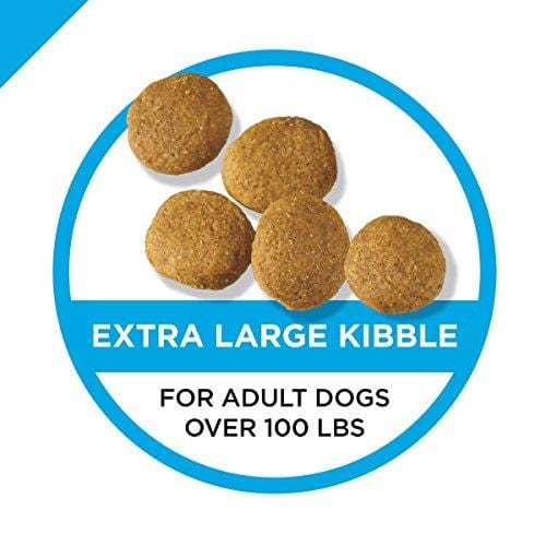 Purina Pro Plan High Protein Giant Breed Dry Dog Food; FOCUS Giant Breed Formula - 34 lb. Bag