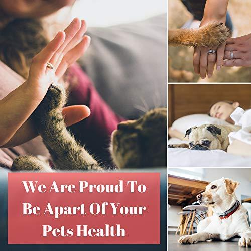 Hemp Oil for Dogs and Cats - 100 % Organic Natural Calming Drops - Anxiety Support - Hip and Joint Health - Pain Relief Stress Reducer for Pets - Omega 3 & 6