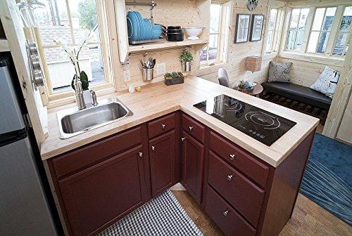 True Induction TI-2B Counter Inset Double Burner Induction Cooktop, 120V, Black