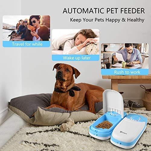 WOpet Automatic Pet Feeder,Dogs and Cats Feeder Bowl with Ice Pack-2 Meals