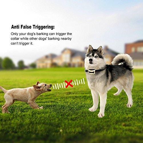 Aeetone Bark Collar Upgrade 7 Sensitivity Rechargeable Humane Dog No Bark Collar with Vibration and No Harm Shock for Small Medium Large Dog (Gold)