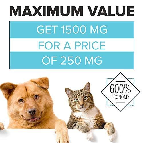 Hemp Oil For DOGS and CATS – 1500 MG – Natural HEMP Extract and Hemp Oil for Pets - Made in USA – Best for Dog Anxiety, Pain Relief and Joint Support for Dogs – Pet Omega 3, 6, 9 – Order RISK-FREE