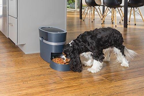PetSafe Smart Feed Automatic Dog and Cat Feeder, Wi-Fi Enabled Pet Feeder, Smartphone App for iPhone and Android