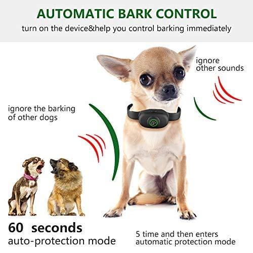 Dog Bark Collar, Humane Anti Barking Training Collar, Adjustable Stop Barking Collar for Small Medium Large Dogs, Best No Barking Control Dog Collar by Moer Sky