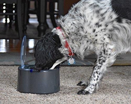 Our Pets Smart Link Intelligent Pet Care Selective Feeder Automatic Pet Bowl