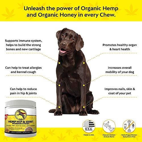 WonderPet Hemp Hip & Joint Supplement for Dogs Chondroitin Glucosamine MSM Organic Hemp Oil Hemp Powder Turmeric | Extra Strength Formula for Arthritis Pain Relief & Mobility Increase | 120 Soft Chews