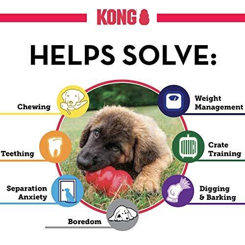 Kong Classic Dog Toy